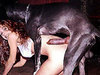 Dog.Vagina1